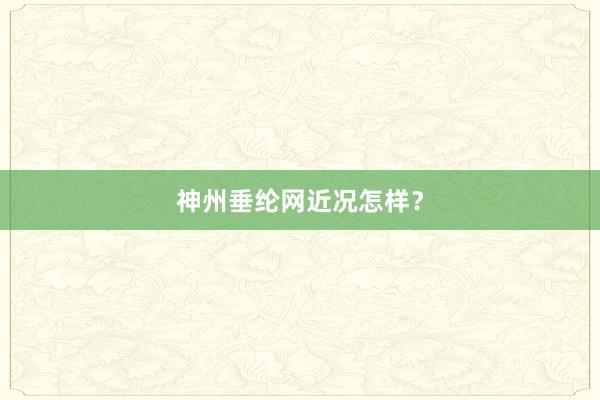 神州垂纶网近况怎样？